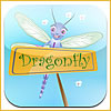 Dragonfly Visual Learning